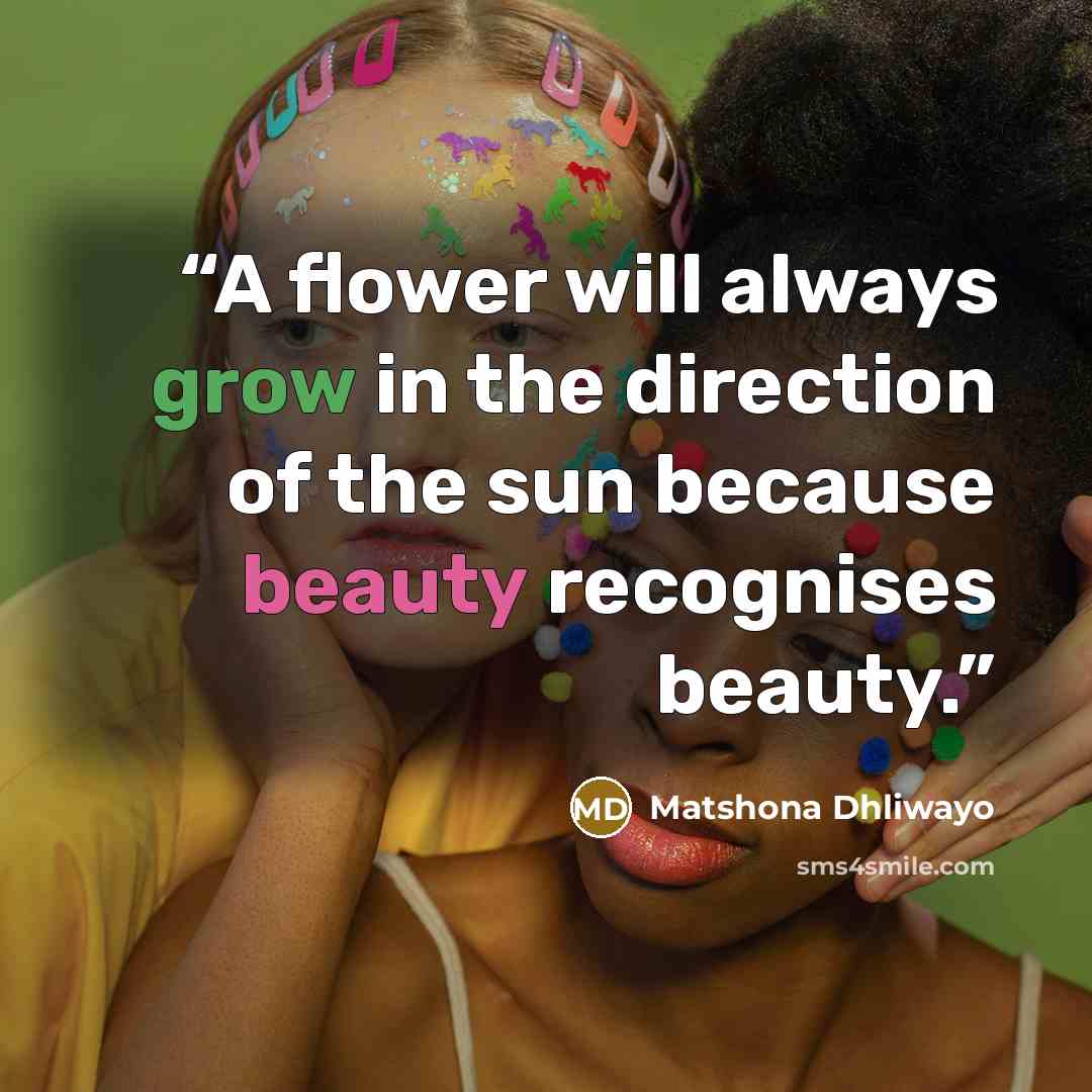 “A flower will always grow in the direction of the sun because beauty recognises beauty.” quote by Matshona Dhliwayo