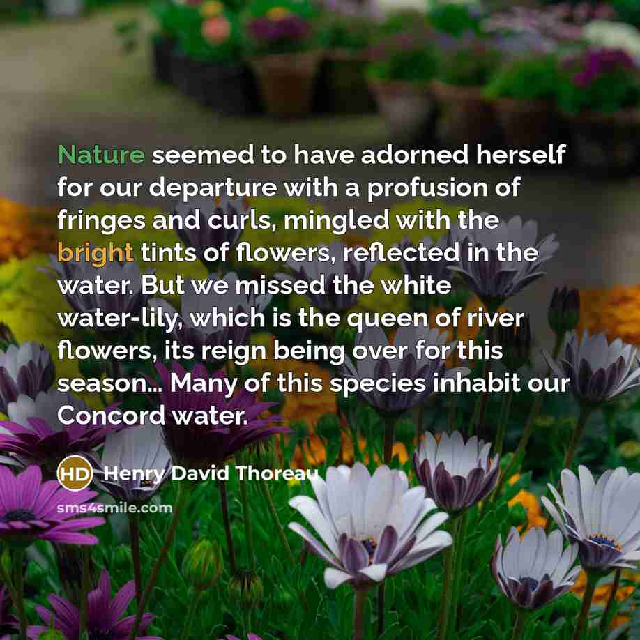 “Nature seemed to have adorned herself for our departure with a profusion of fringes and curls, mingled with the bright tints of flowers, reflected in the water. But we missed the white water-lily, which is the queen of river flowers, its reign being over for this season… Many of this species…” quote by Henry David Thoreau