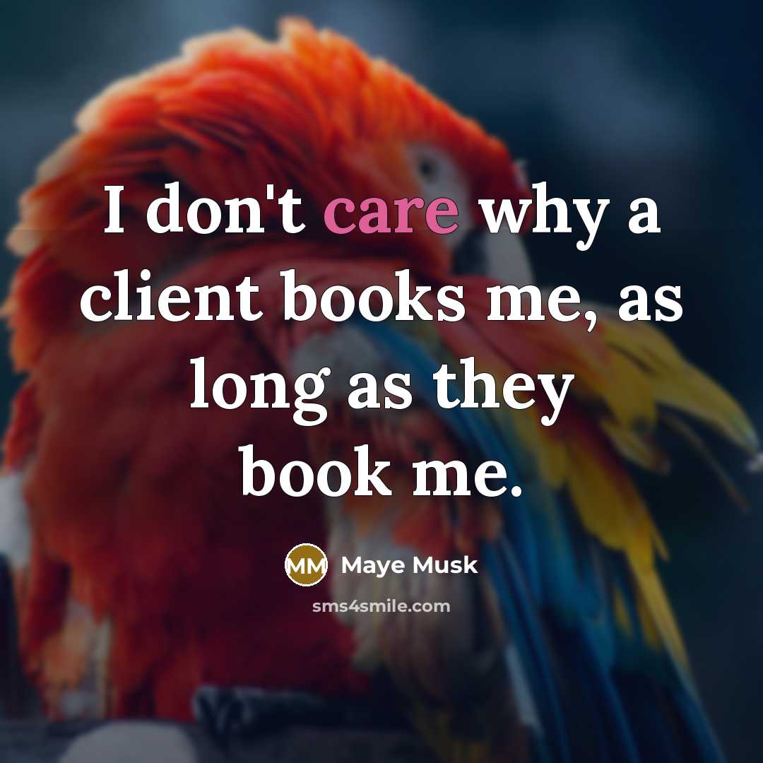 “I don't care why a client books me, as long as they book me.” quote by Maye Musk