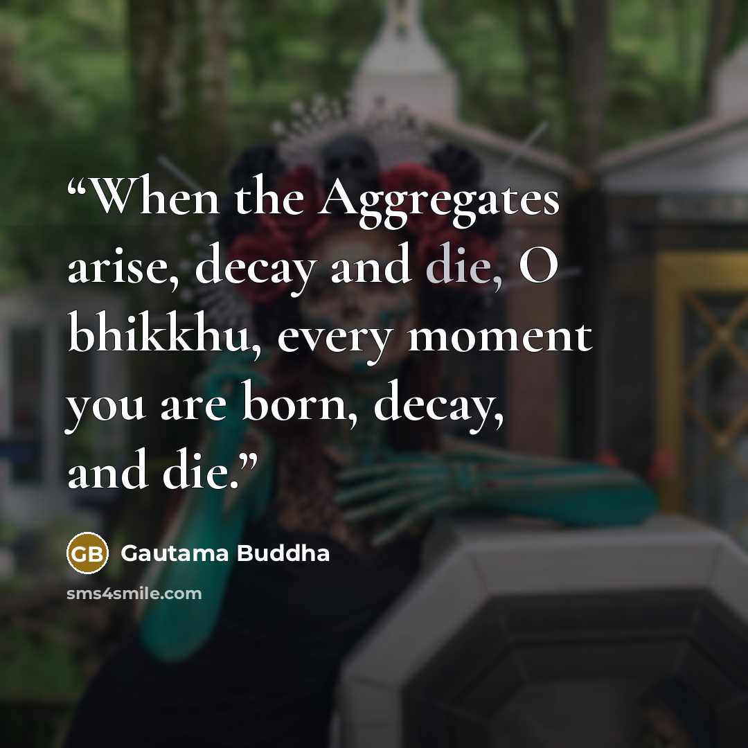 “When the Aggregates arise, decay and die, O bhikkhu, every moment you are born, decay, and die.” quote by Gautama Buddha