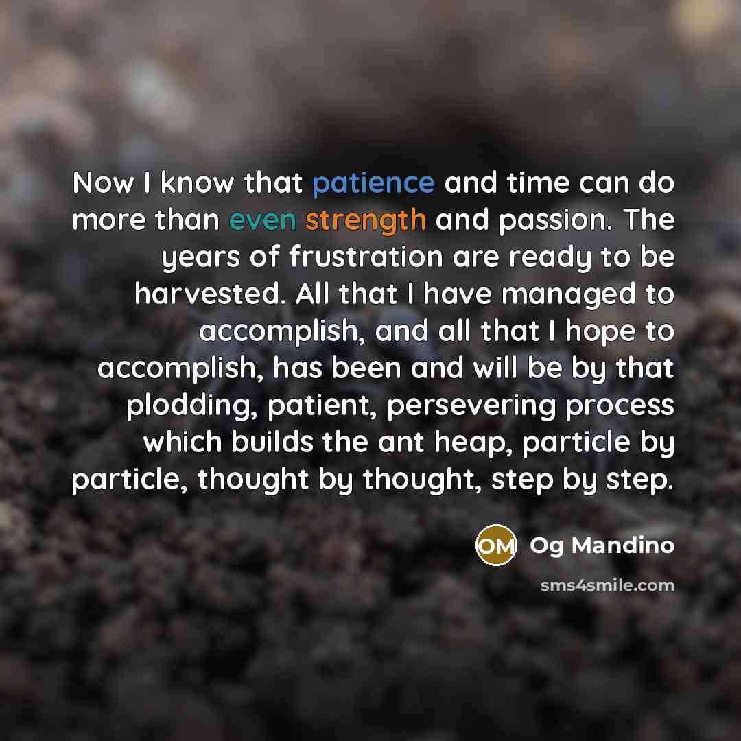 “Now I know that patience and time can do more than even strength and passion. The years of frustration are ready to be harvested. All that I have managed to accomplish, and all that I hope to accomplish, has been and will be by that plodding, patient, persevering process which builds the ant heap…” quote by Og Mandino