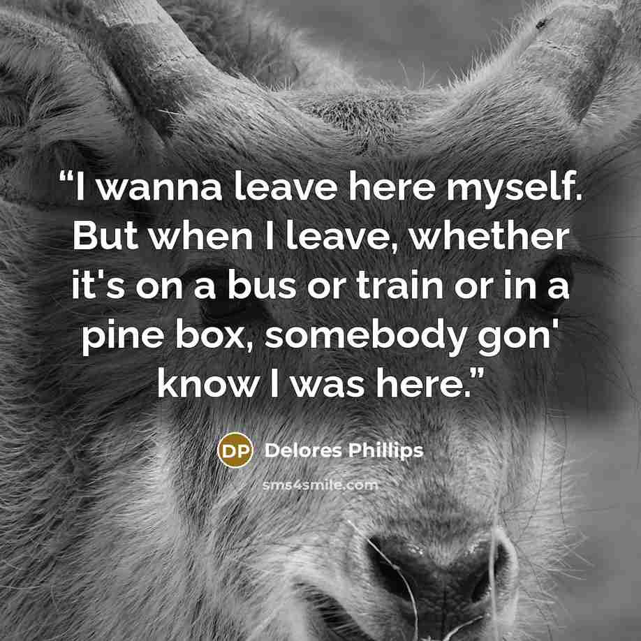 “I wanna leave here myself. But when I leave, whether it's on a bus or train or in a pine box, somebody gon' know I was here.” quote by Delores Phillips