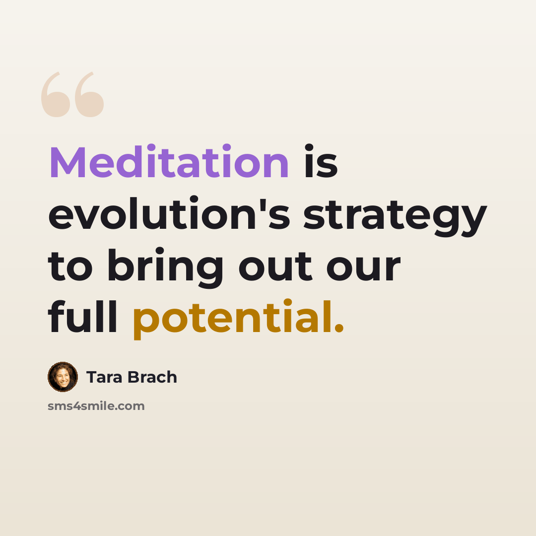 “Meditation is evolution's strategy to bring out our full potential.” quote by Tara Brach