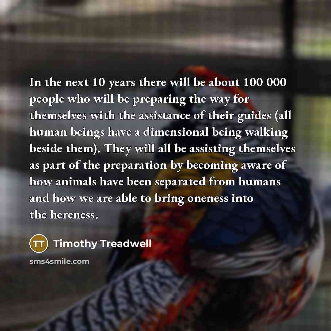 “In the next 10 years there will be about 100 000 people who will be preparing the way for themselves with the assistance of their guides (all human beings have a dimensional being walking beside them). They will all be assisting themselves as part of the preparation by becoming aware of how…” quote by Timothy Treadwell