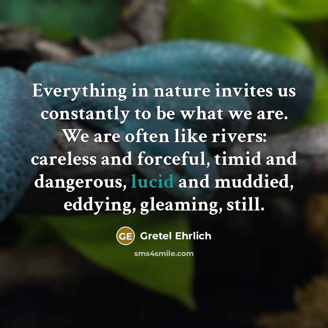 “Everything in nature invites us constantly to be what we are. We are often like rivers: careless and forceful, timid and dangerous, lucid and muddied, eddying, gleaming, still.” quote by Gretel Ehrlich