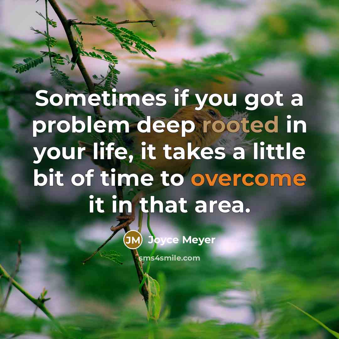 “Sometimes if you got a problem deep rooted in your life, it takes a little bit of time to overcome it in that area.” quote by Joyce Meyer