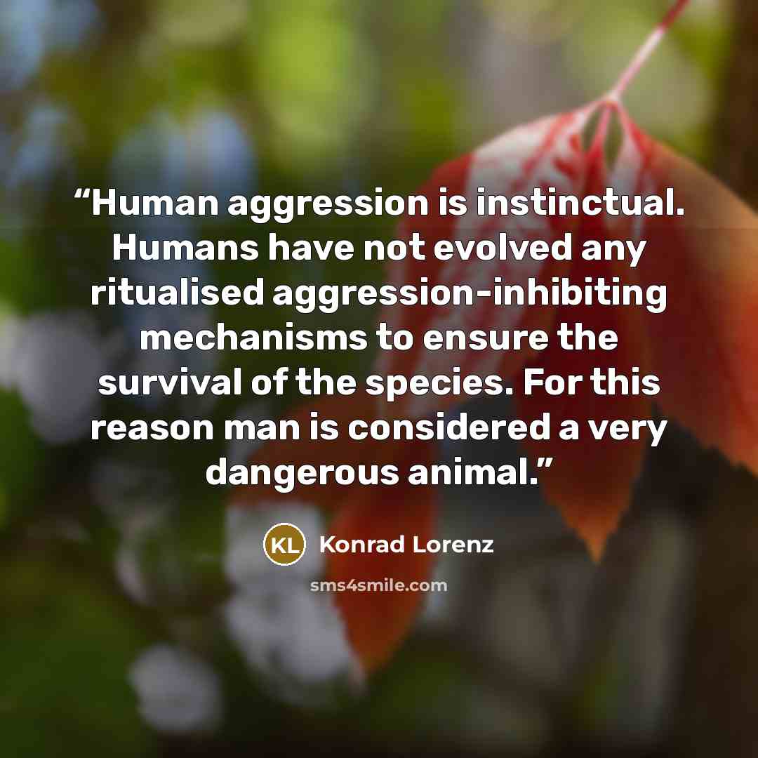 “Human aggression is instinctual. Humans have not evolved any ritualised aggression-inhibiting mechanisms to ensure the survival of the species. For this reason man is considered a very dangerous animal.” quote by Konrad Lorenz