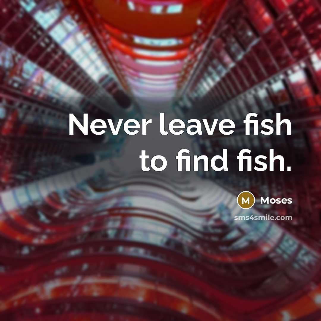“Never leave fish to find fish.” quote by Moses
