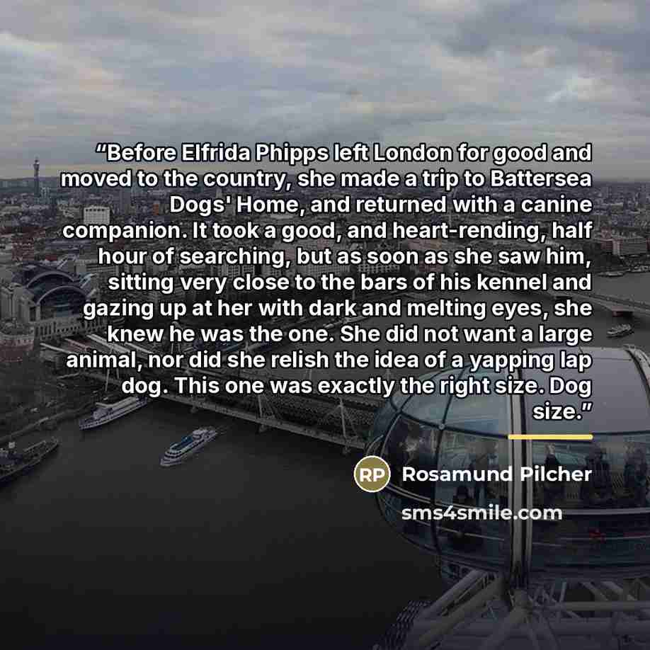 “Before Elfrida Phipps left London for good and moved to the country, she made a trip to Battersea Dogs' Home, and returned with a canine companion. It took a good, and heart-rending, half hour of searching, but as soon as she saw him, sitting very close to the bars of his kennel and gazing up at…” quote by Anonymous