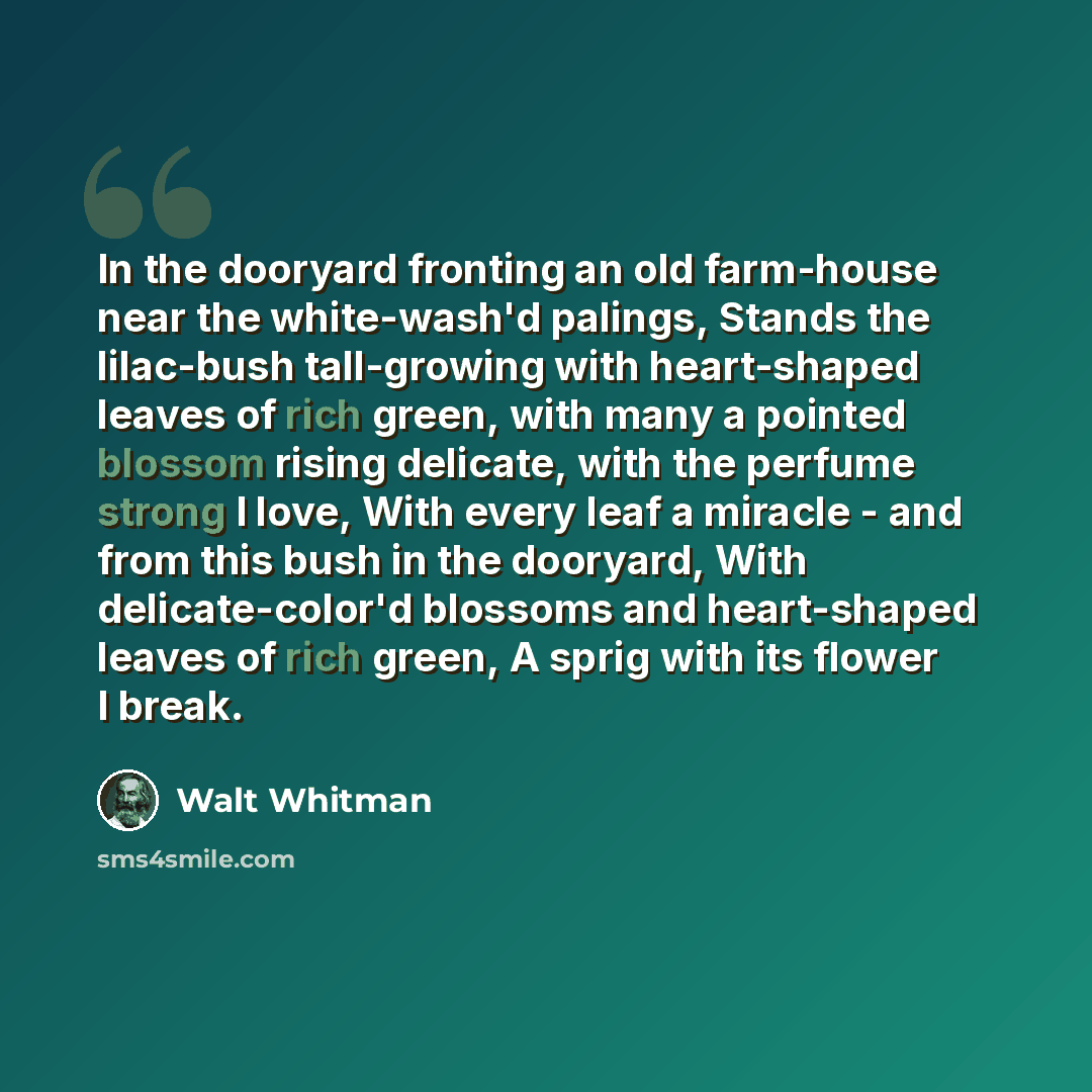 “In the dooryard fronting an old farm-house near the white-wash'd palings, Stands the lilac-bush tall-growing with heart-shaped leaves of rich green, with many a pointed blossom rising delicate, with the perfume strong I love, With every leaf a miracle - and from this bush in the dooryard, With…” quote by Walt Whitman