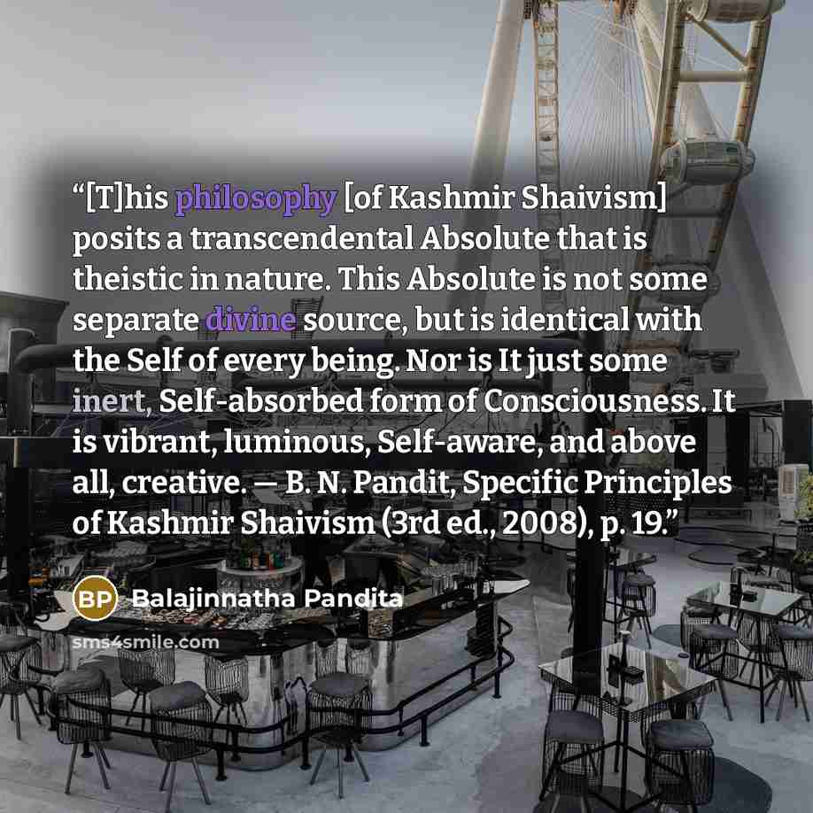 “[T]his philosophy [of Kashmir Shaivism] posits a transcendental Absolute that is theistic in nature. This Absolute is not some separate divine source, but is identical with the Self of every being. Nor is It just some inert, Self-absorbed form of Consciousness. It is vibrant, luminous, Self-aware…” quote by Balajinnatha Pandita