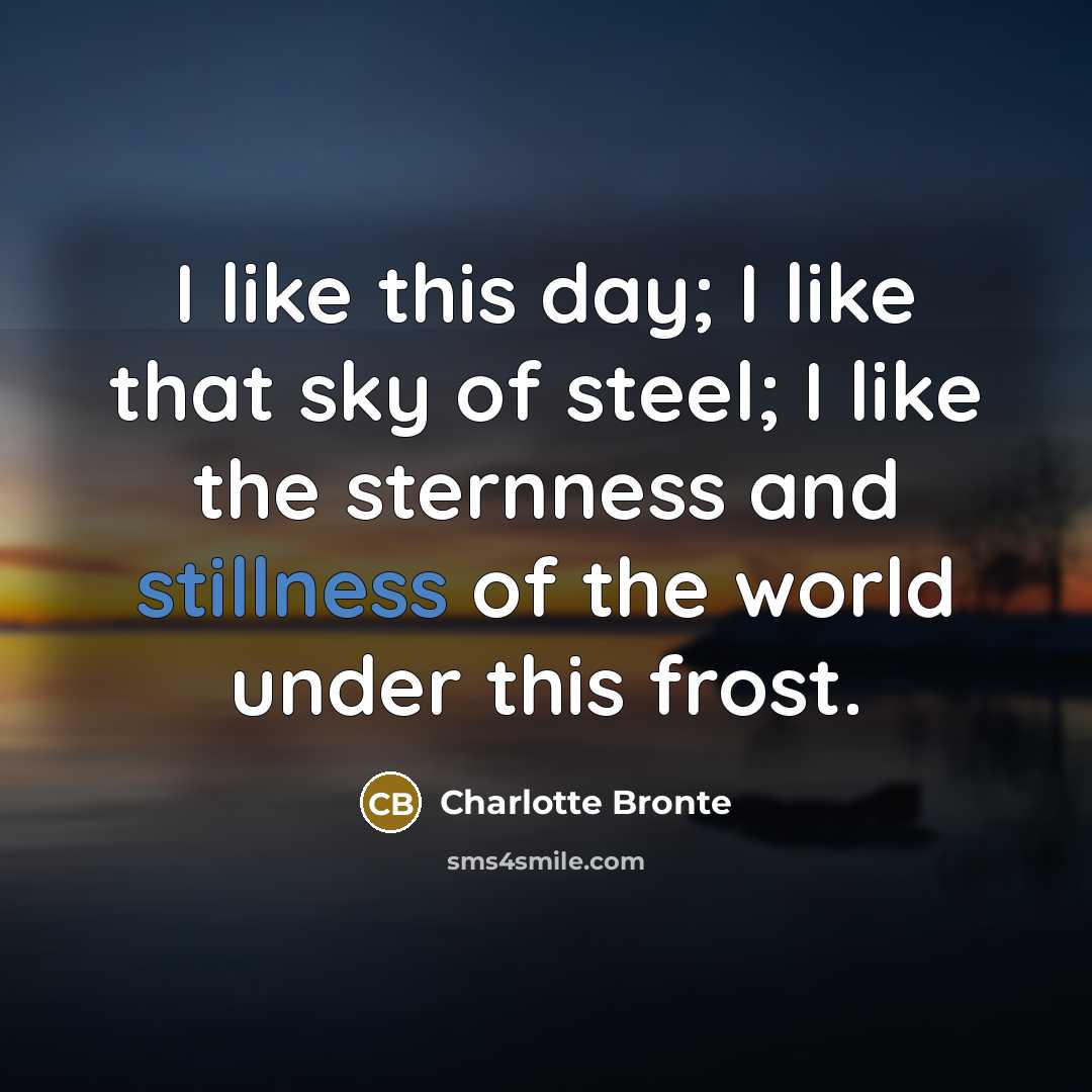 “I like this day; I like that sky of steel; I like the sternness and stillness of the world under this frost.” quote by Charlotte Bronte