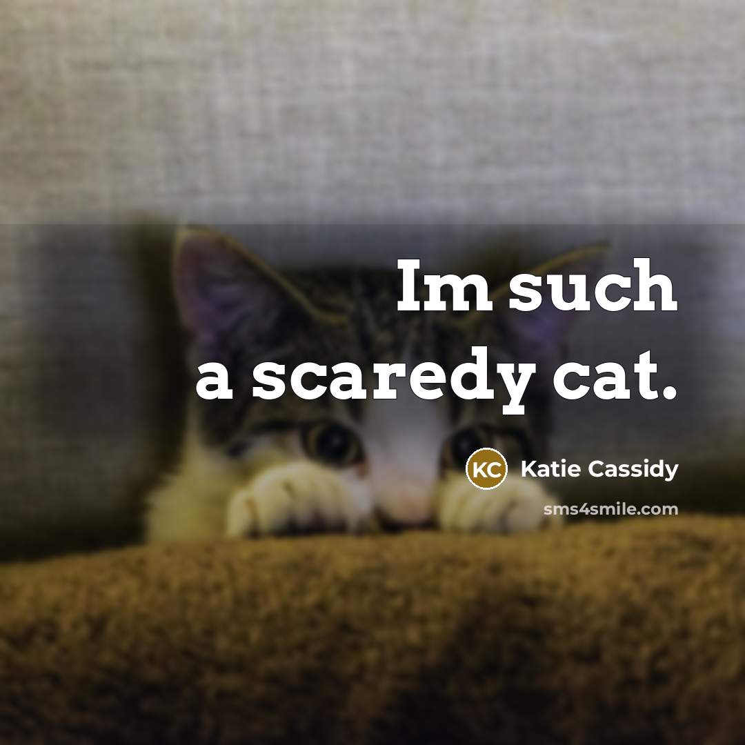 “Im such a scaredy cat.” quote by Katie Cassidy