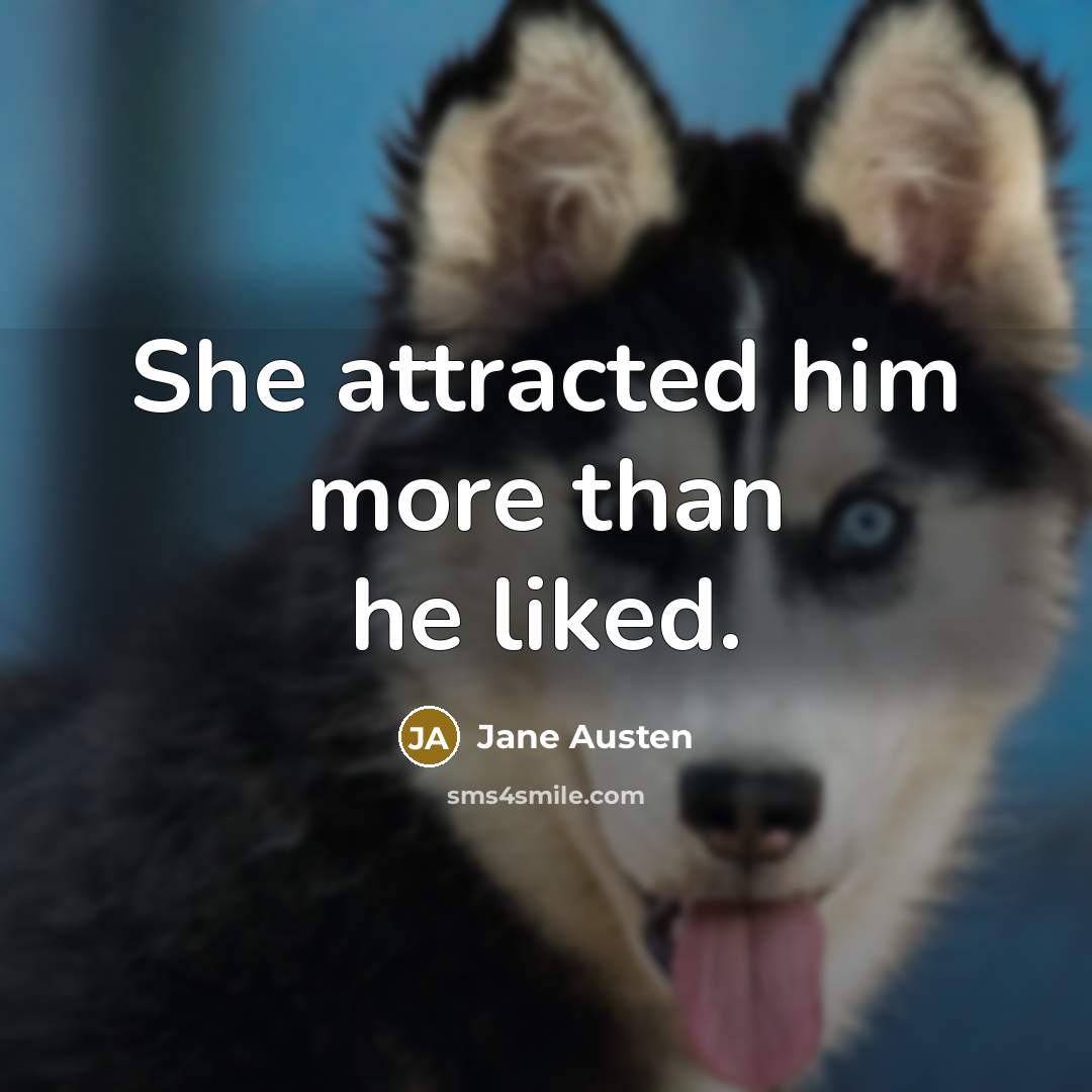 “She attracted him more than he liked.” quote by Jane Austen