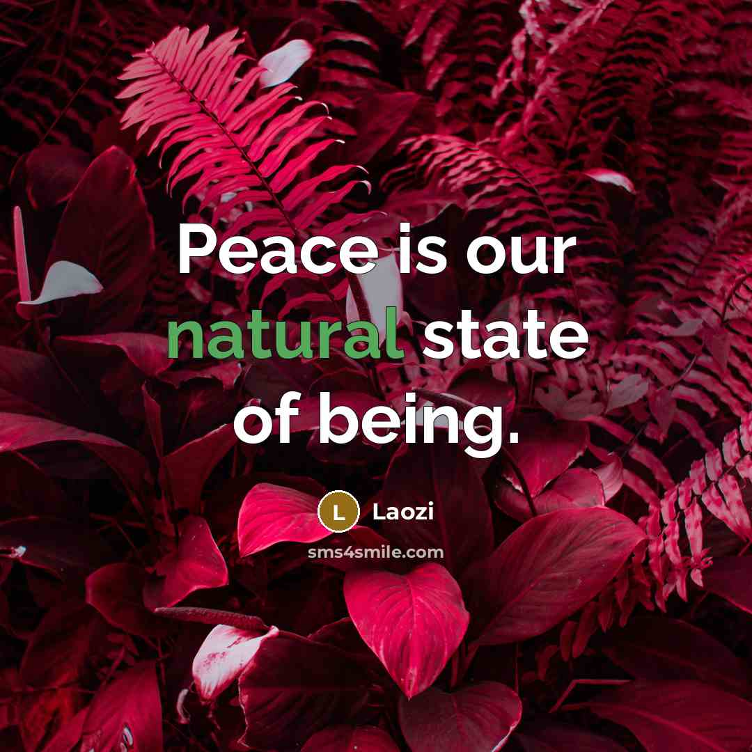 “Peace is our natural state of being.” quote by Laozi