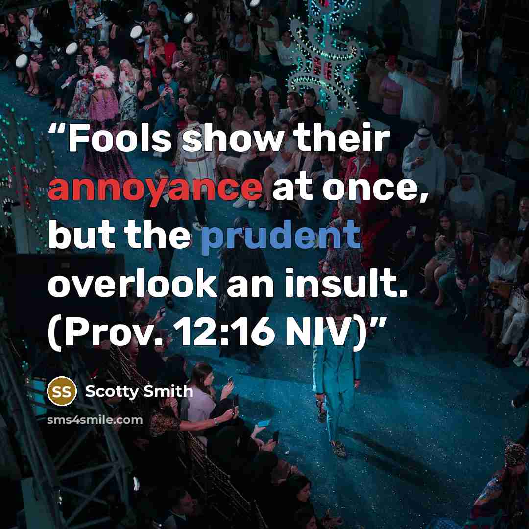 “Fools show their annoyance at once, but the prudent overlook an insult. (Prov. 12:16 NIV)” quote by Scotty Smith