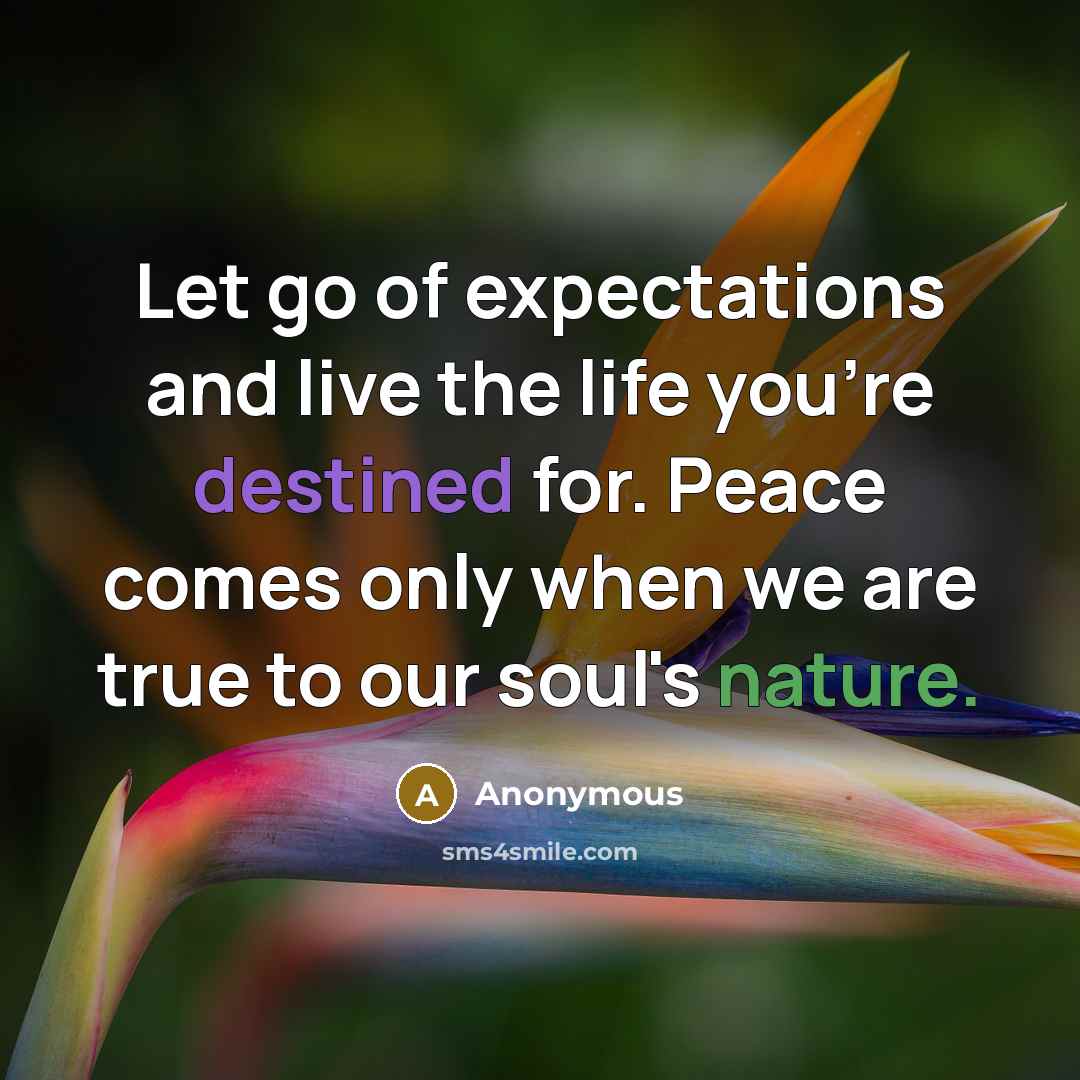 “Let go of expectations and live the life you're destined for. Peace comes only when we are true to our soul's nature.” quote by Anonymous