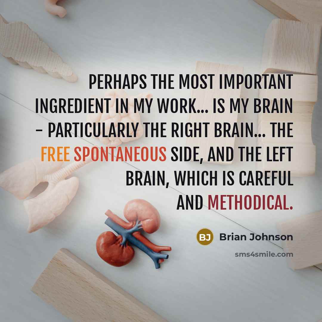 “Perhaps the most important ingredient in my work... is my brain - particularly the right brain... the free spontaneous side, and the left brain, which is careful and methodical.” quote by Brian Johnson
