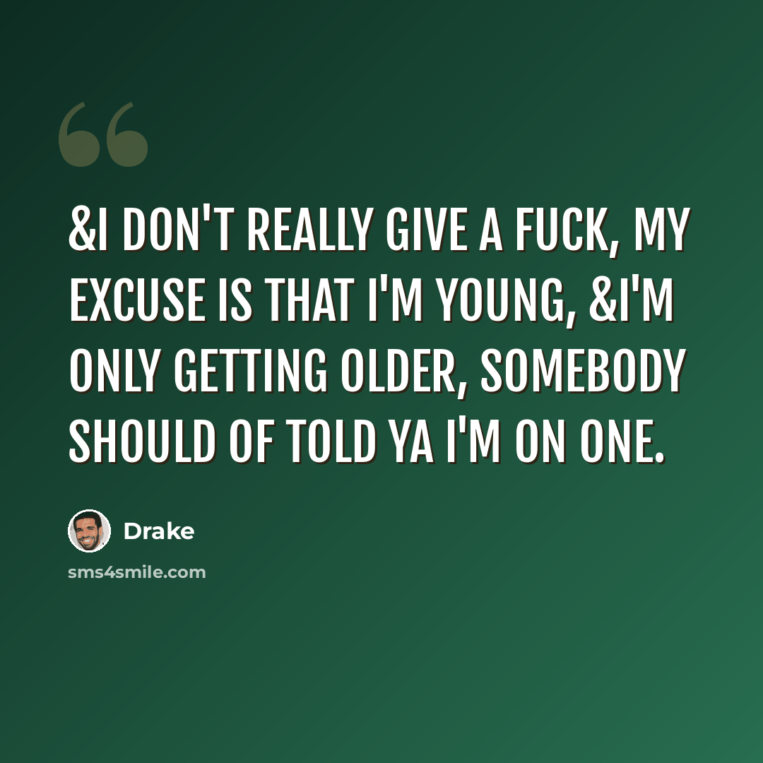 “&I don't really give a fuck, My excuse is that I'm young, &I'm only getting older, somebody should of told ya I'm on one.” quote by Drake