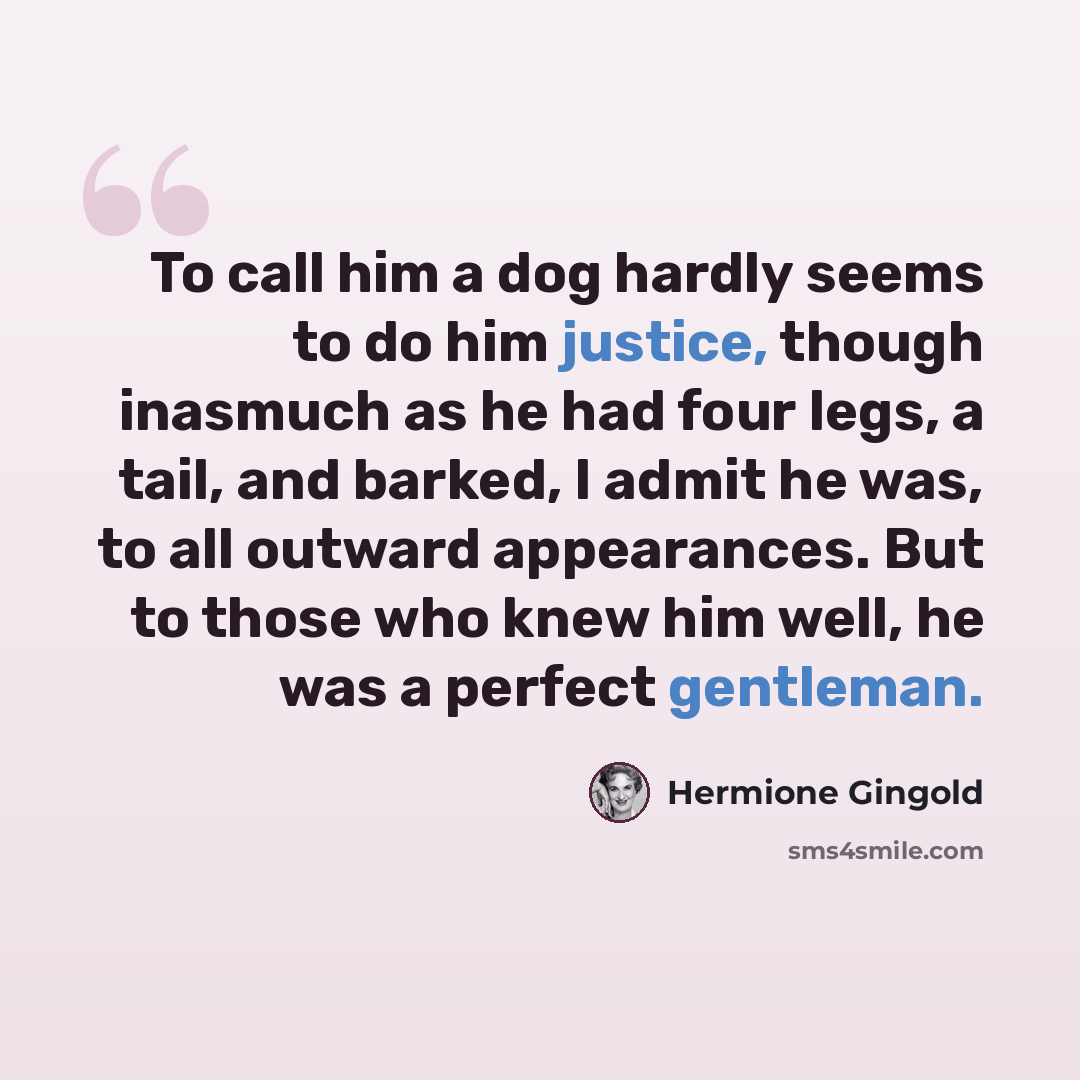 “To call him a dog hardly seems to do him justice, though inasmuch as he had four legs, a tail, and barked, I admit he was, to all outward appearances. But to those who knew him well, he was a perfect gentleman.” quote by Hermione Gingold