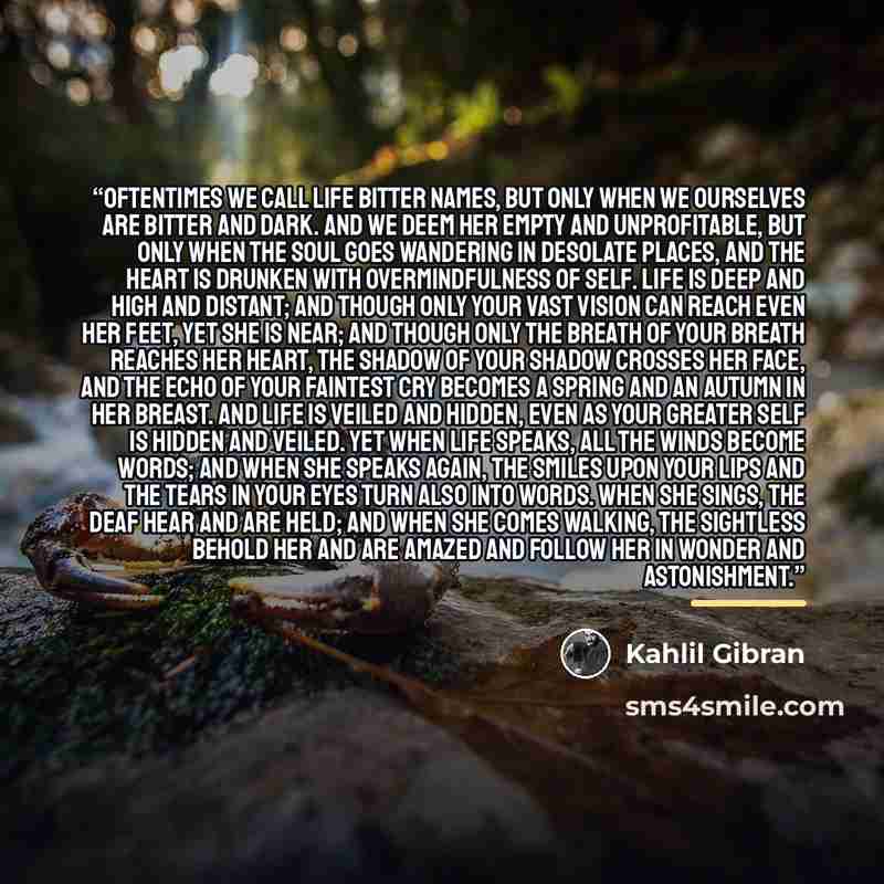 “Oftentimes we call Life bitter names, but only when we ourselves are bitter and dark. And we deem her empty and unprofitable, but only when the soul goes wandering in desolate places, and the heart is drunken with overmindfulness of self. Life is deep and high and distant; and though only your…” quote by Kahlil Gibran