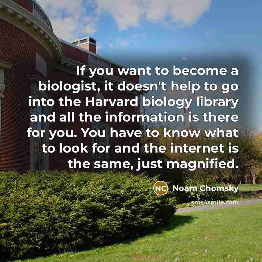 “If you want to become a biologist, it doesn't help to go into the Harvard biology library and all the information is there for you. You have to know what to look for and the internet is the same, just magnified.” quote by Noam Chomsky