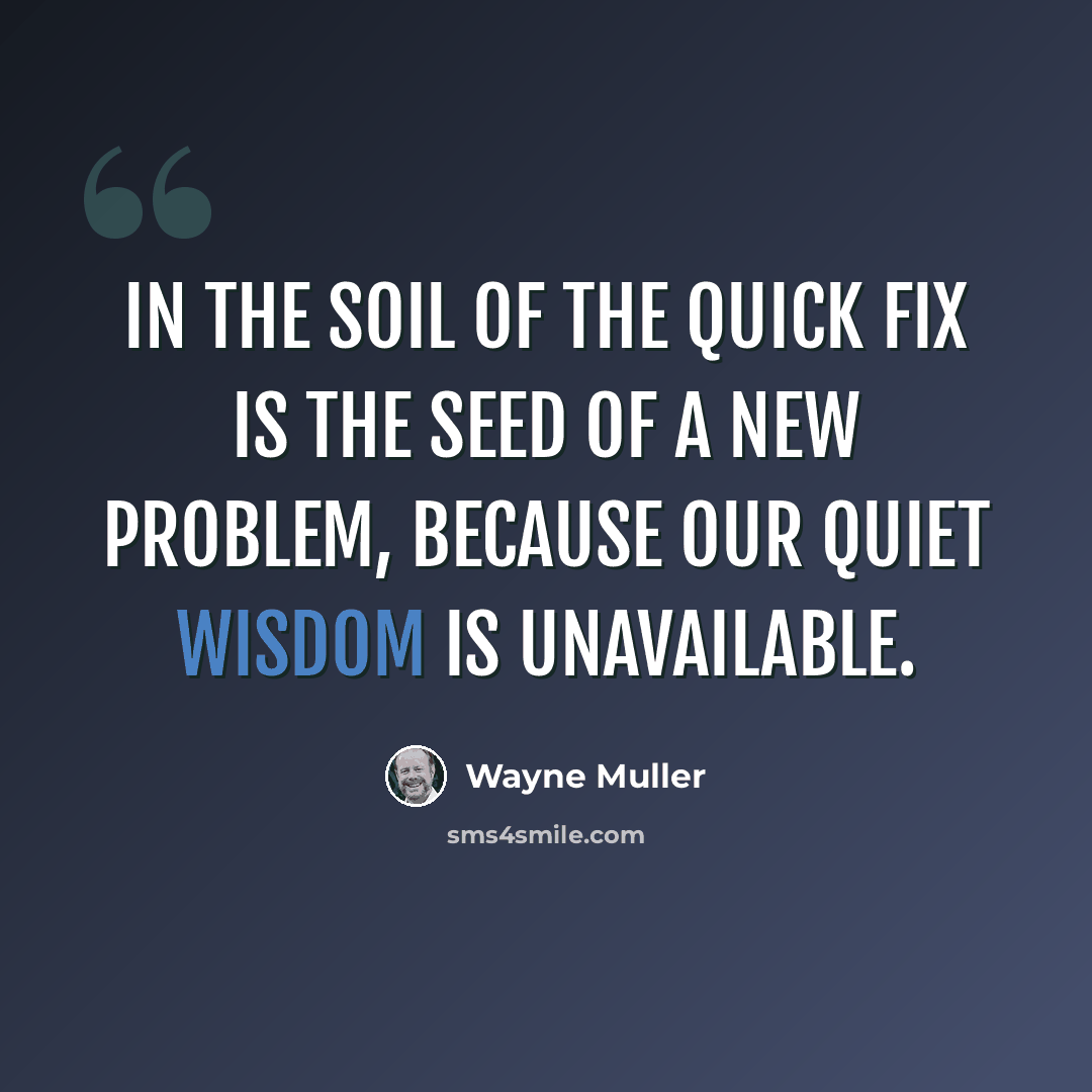 “In the soil of the quick fix is the seed of a new problem, because our quiet wisdom is unavailable.” quote by Wayne Muller