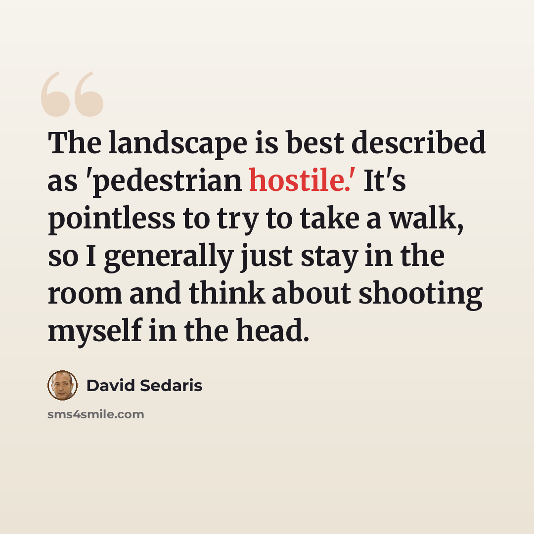“The landscape is best described as 'pedestrian hostile.' It's pointless to try to take a walk, so I generally just stay in the room and think about shooting myself in the head.” quote by David Sedaris