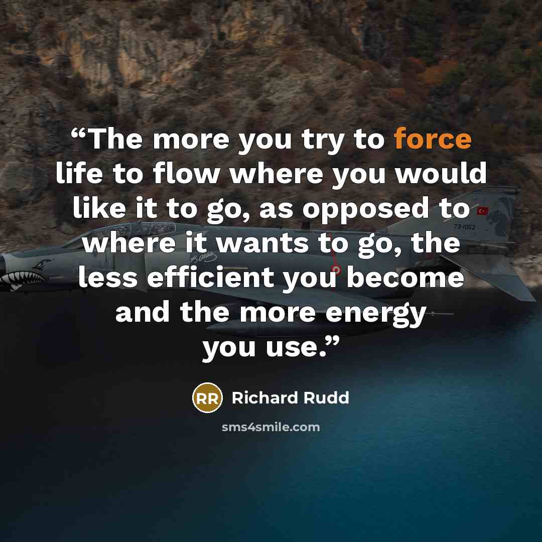 “The more you try to force life to flow where you would like it to go, as opposed to where it wants to go, the less efficient you become and the more energy you use.” quote by Richard Rudd