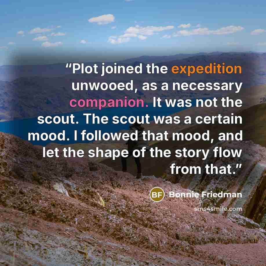 “Plot joined the expedition unwooed, as a necessary companion. It was not the scout. The scout was a certain mood. I followed that mood, and let the shape of the story flow from that.” quote by Bonnie Friedman