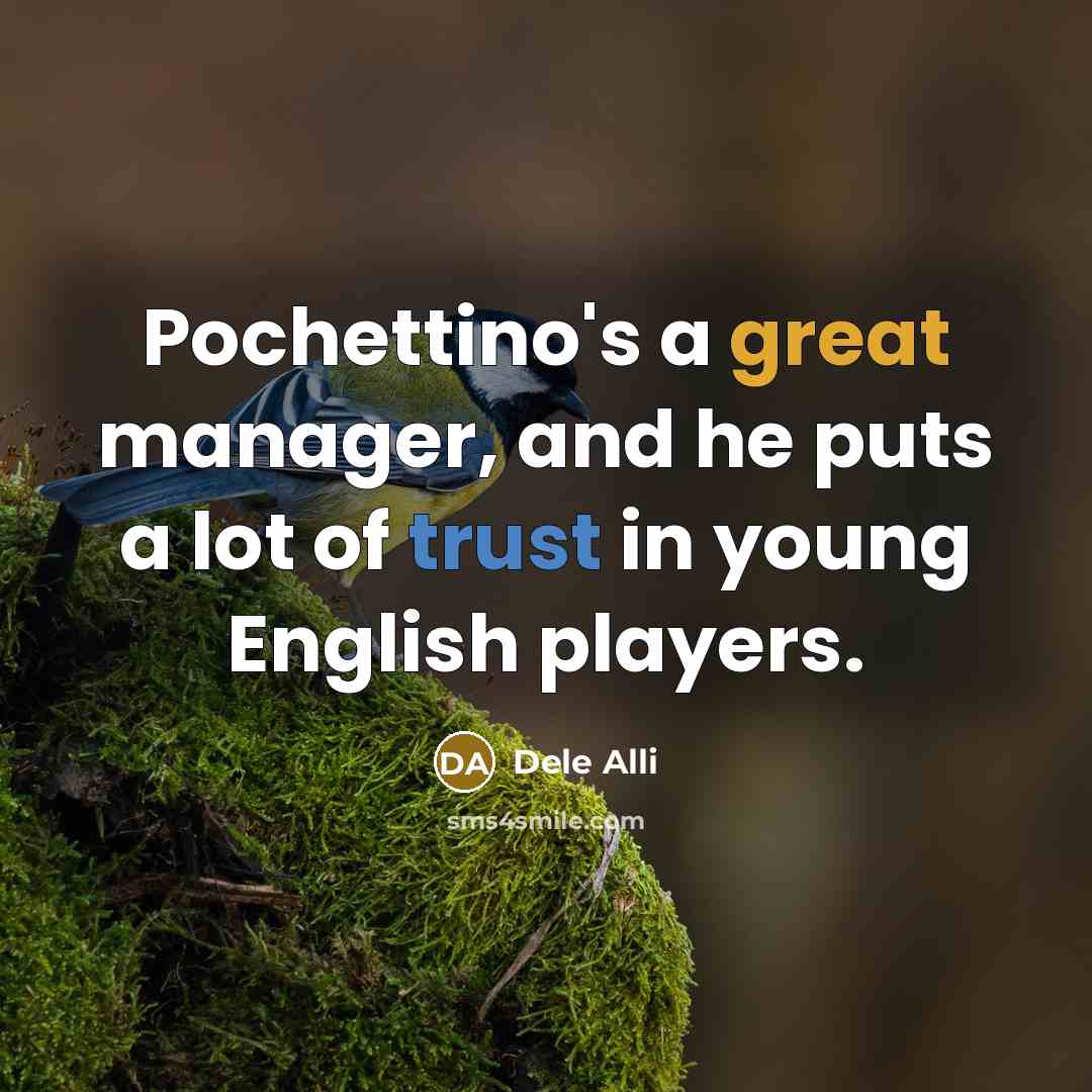 “Pochettino's a great manager, and he puts a lot of trust in young English players.” quote by Dele Alli