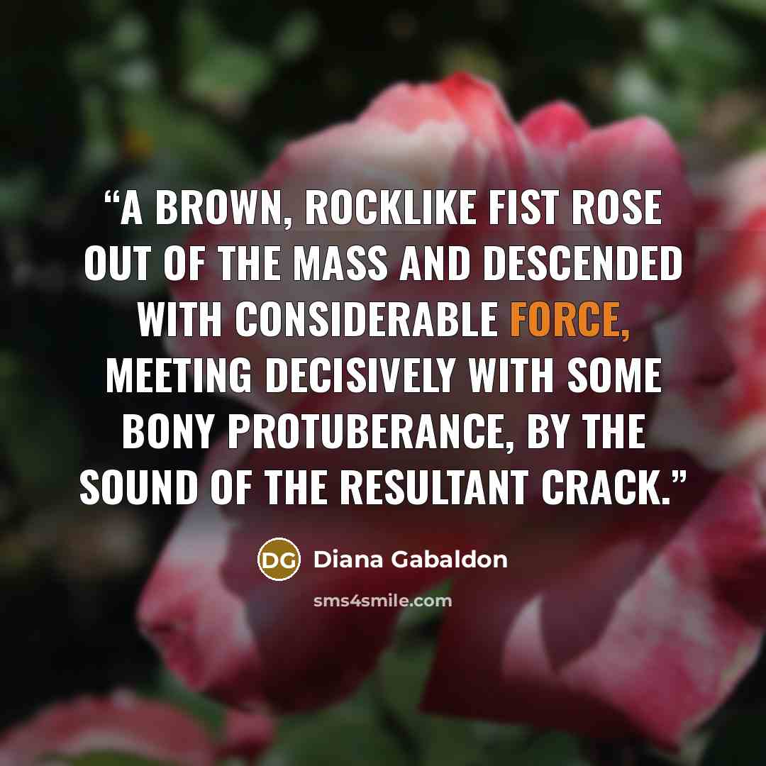 “A brown, rocklike fist rose out of the mass and descended with considerable force, meeting decisively with some bony protuberance, by the sound of the resultant crack.” quote by Diana Gabaldon