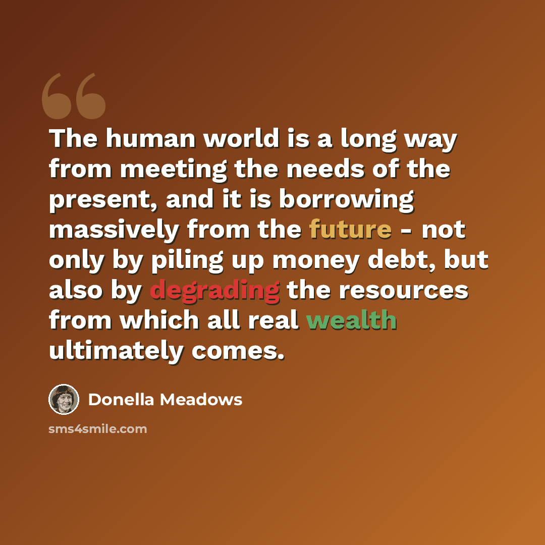 “The human world is a long way from meeting the needs of the present, and it is borrowing massively from the future - not only by piling up money debt, but also by degrading the resources from which all real wealth ultimately comes.” quote by Donella Meadows