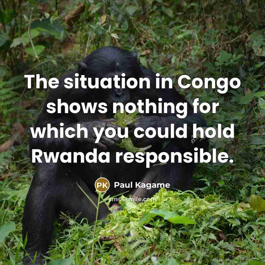 “The situation in Congo shows nothing for which you could hold Rwanda responsible.” quote by Paul Kagame