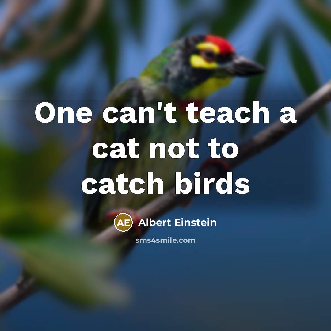 “One can't teach a cat not to catch birds” quote by Albert Einstein