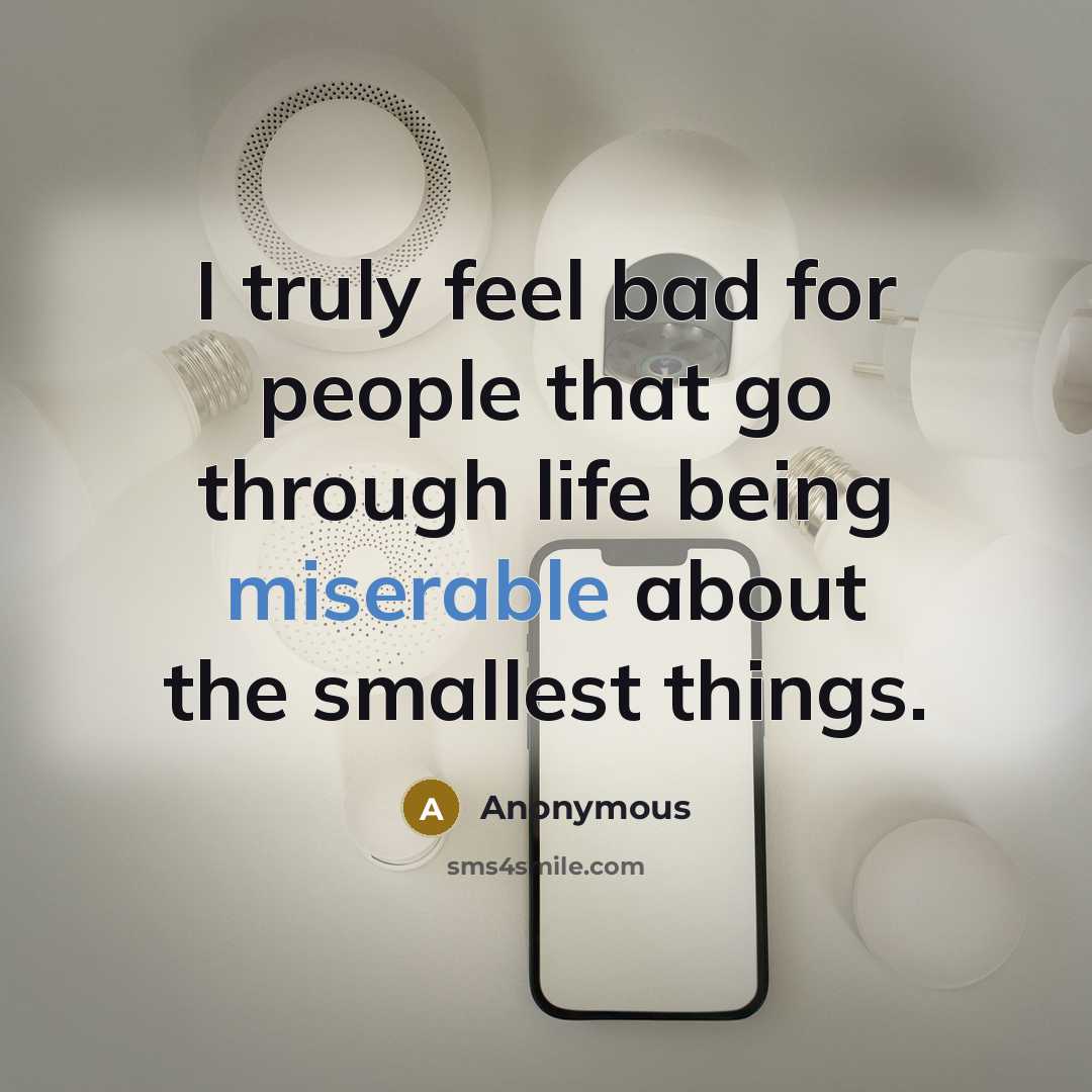“I truly feel bad for people that go through life being miserable about the smallest things.” quote by Anonymous