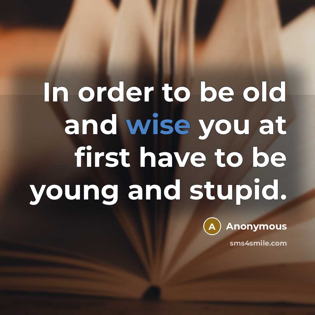 “In order to be old and wise you at first have to be young and stupid.” quote by Anonymous
