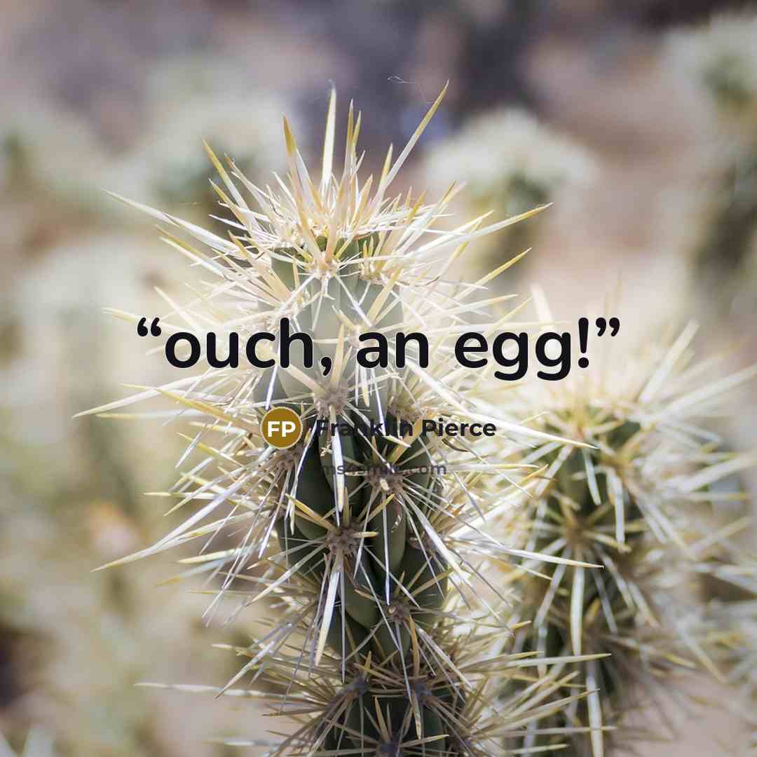 “ouch, an egg!” quote by Franklin Pierce