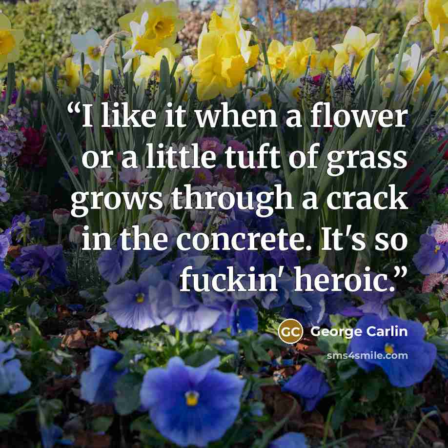 “I like it when a flower or a little tuft of grass grows through a crack in the concrete. It's so fuckin' heroic.” quote by George Carlin