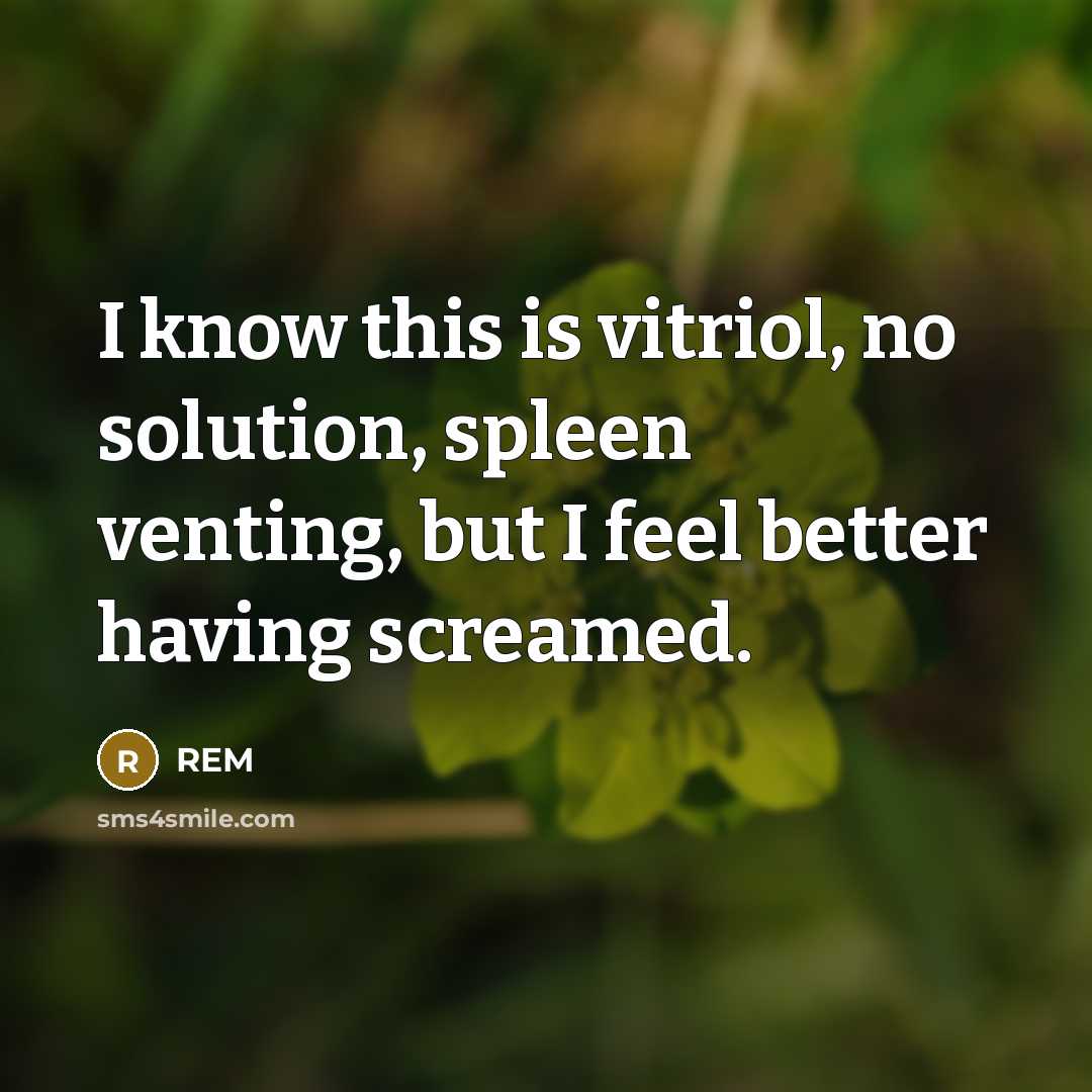 “I know this is vitriol, no solution, spleen venting, but I feel better having screamed.” quote by REM