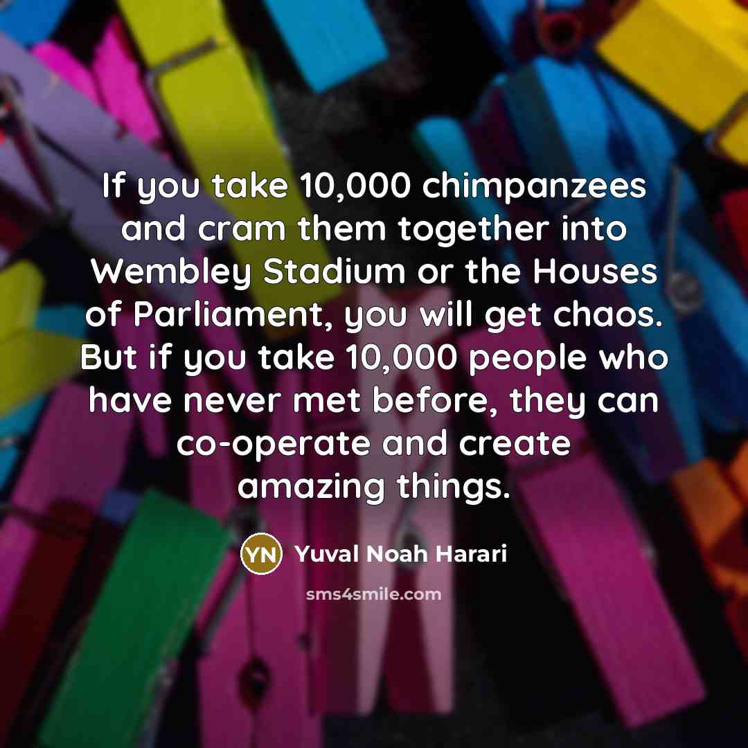 “If you take 10,000 chimpanzees and cram them together into Wembley Stadium or the Houses of Parliament, you will get chaos. But if you take 10,000 people who have never met before, they can co-operate and create amazing things.” quote by Yuval Noah Harari