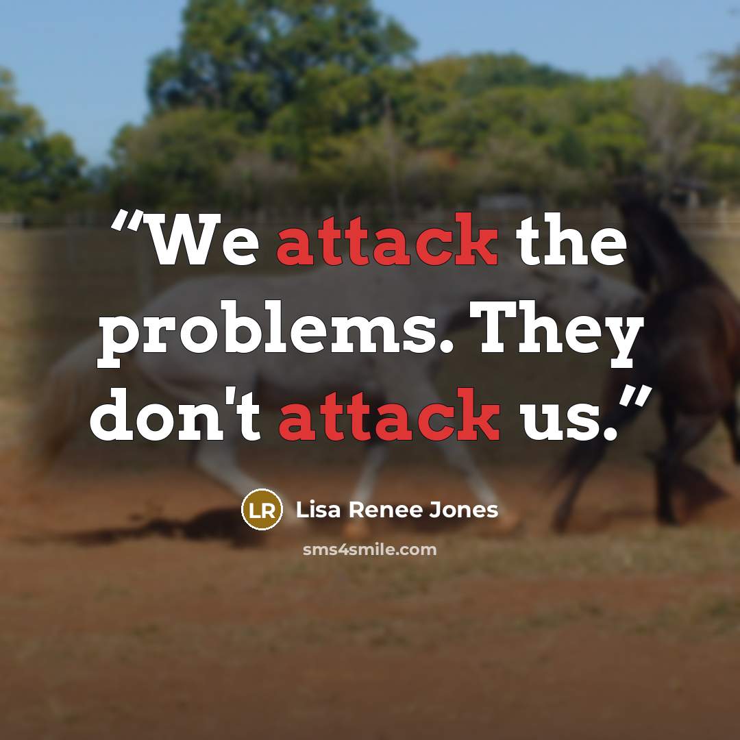 “We attack the problems. They don't attack us.” quote by Lisa Renee Jones