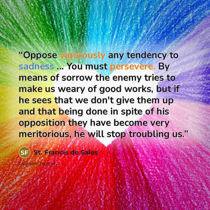 “Oppose vigorously any tendency to sadness ... You must persevere. By means of sorrow the enemy tries to make us weary of good works, but if he sees that we don't give them up and that being done in spite of his opposition they have become very meritorious, he will stop troubling us.” quote by St. Francis de Sales
