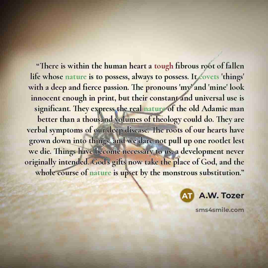 “There is within the human heart a tough fibrous root of fallen life whose nature is to possess, always to possess. It covets 'things' with a deep and fierce passion. The pronouns 'my' and 'mine' look innocent enough in print, but their constant and universal use is significant. They express the…” quote by A.W. Tozer