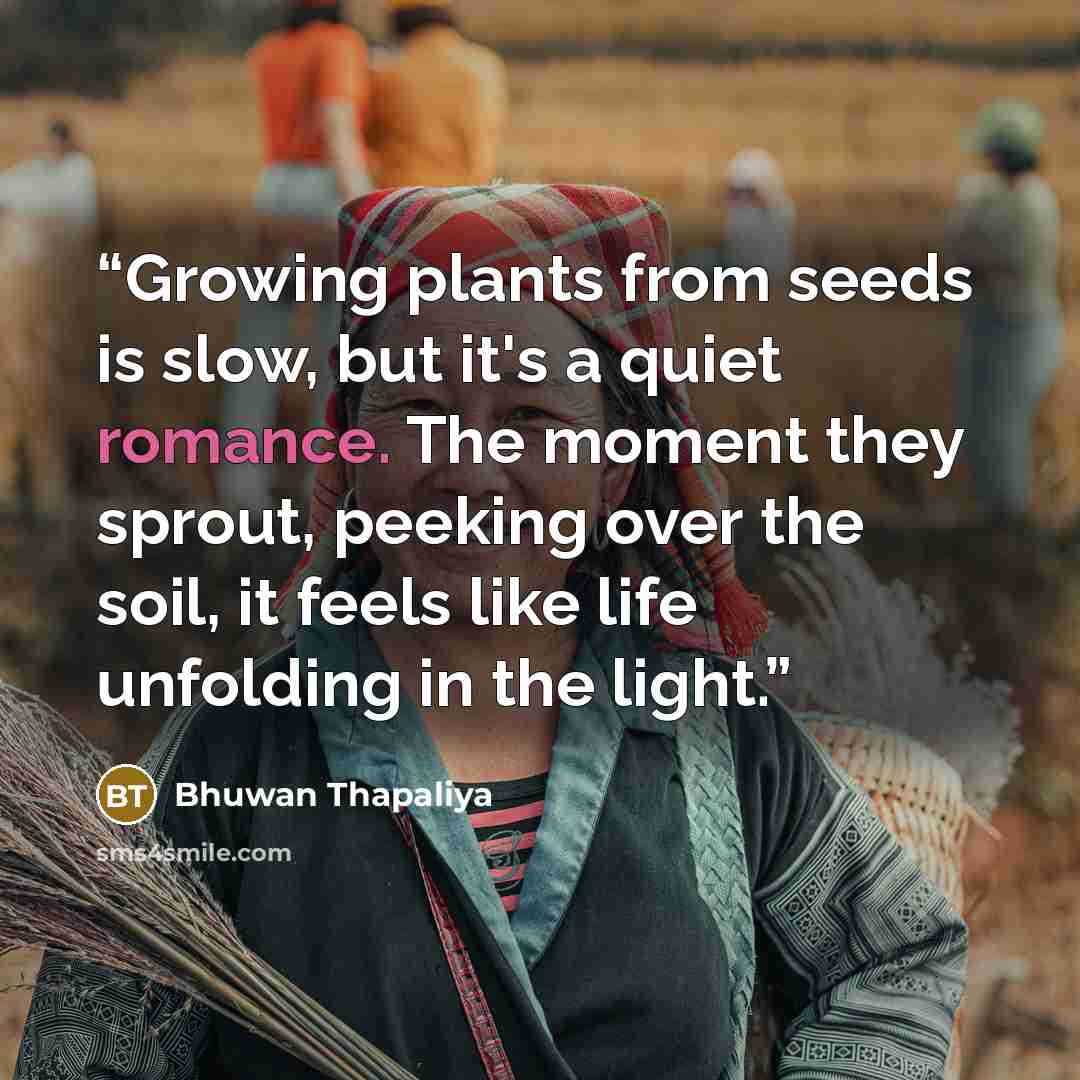 “Growing plants from seeds is slow, but it's a quiet romance. The moment they sprout, peeking over the soil, it feels like life unfolding in the light.” quote by Bhuwan Thapaliya