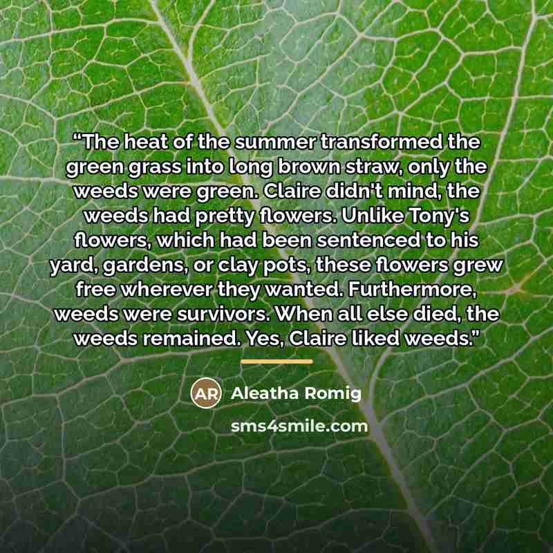 “The heat of the summer transformed the green grass into long brown straw, only the weeds were green. Claire didn't mind, the weeds had pretty flowers. Unlike Tony's flowers, which had been sentenced to his yard, gardens, or clay pots, these flowers grew free wherever they wanted. Furthermore…” quote by Aleatha Romig