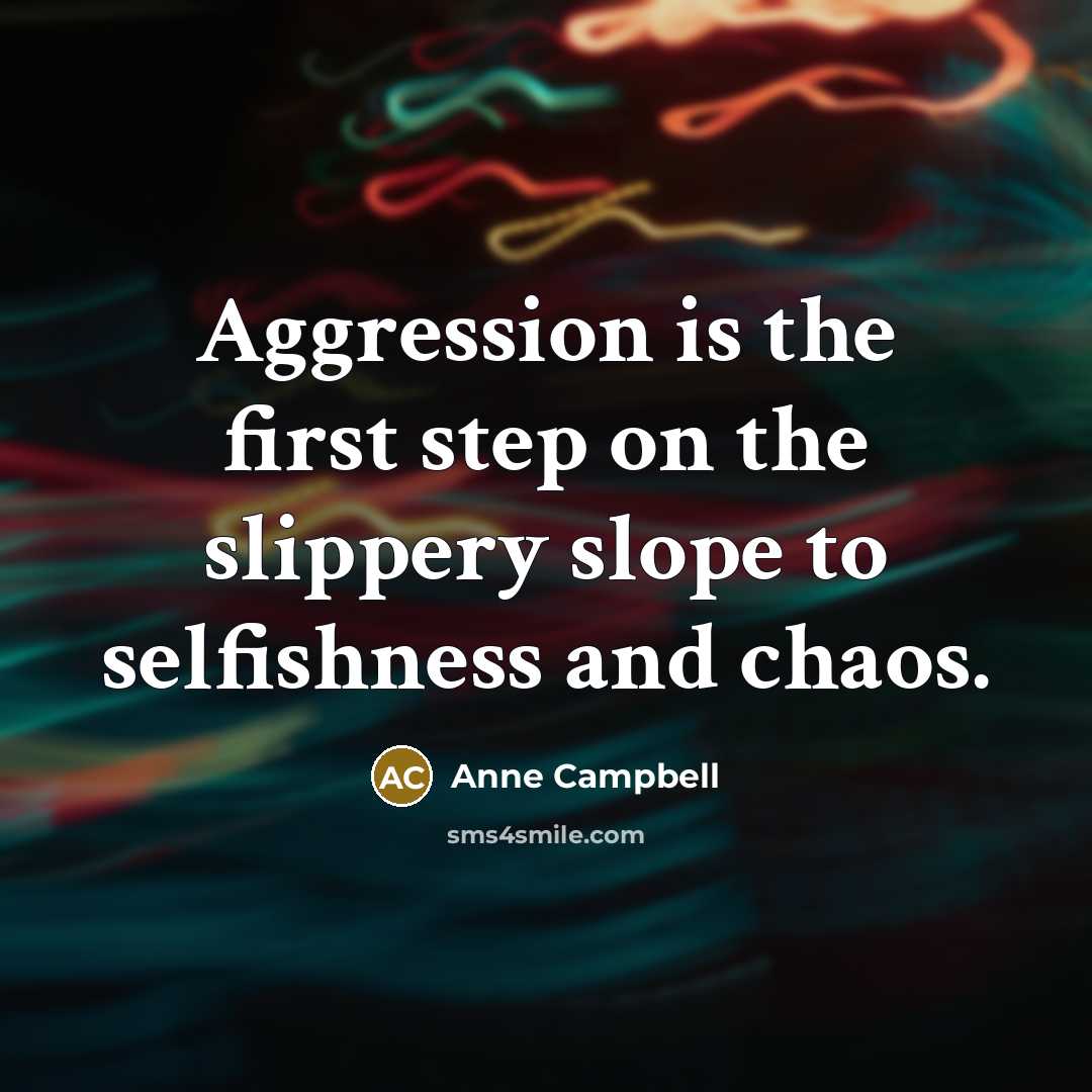 “Aggression is the first step on the slippery slope to selfishness and chaos.” quote by Anne Campbell