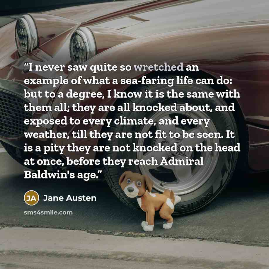 “I never saw quite so wretched an example of what a sea-faring life can do: but to a degree, I know it is the same with them all; they are all knocked about, and exposed to every climate, and every weather, till they are not fit to be seen. It is a pity they are not knocked on the head at once…” quote by Jane Austen