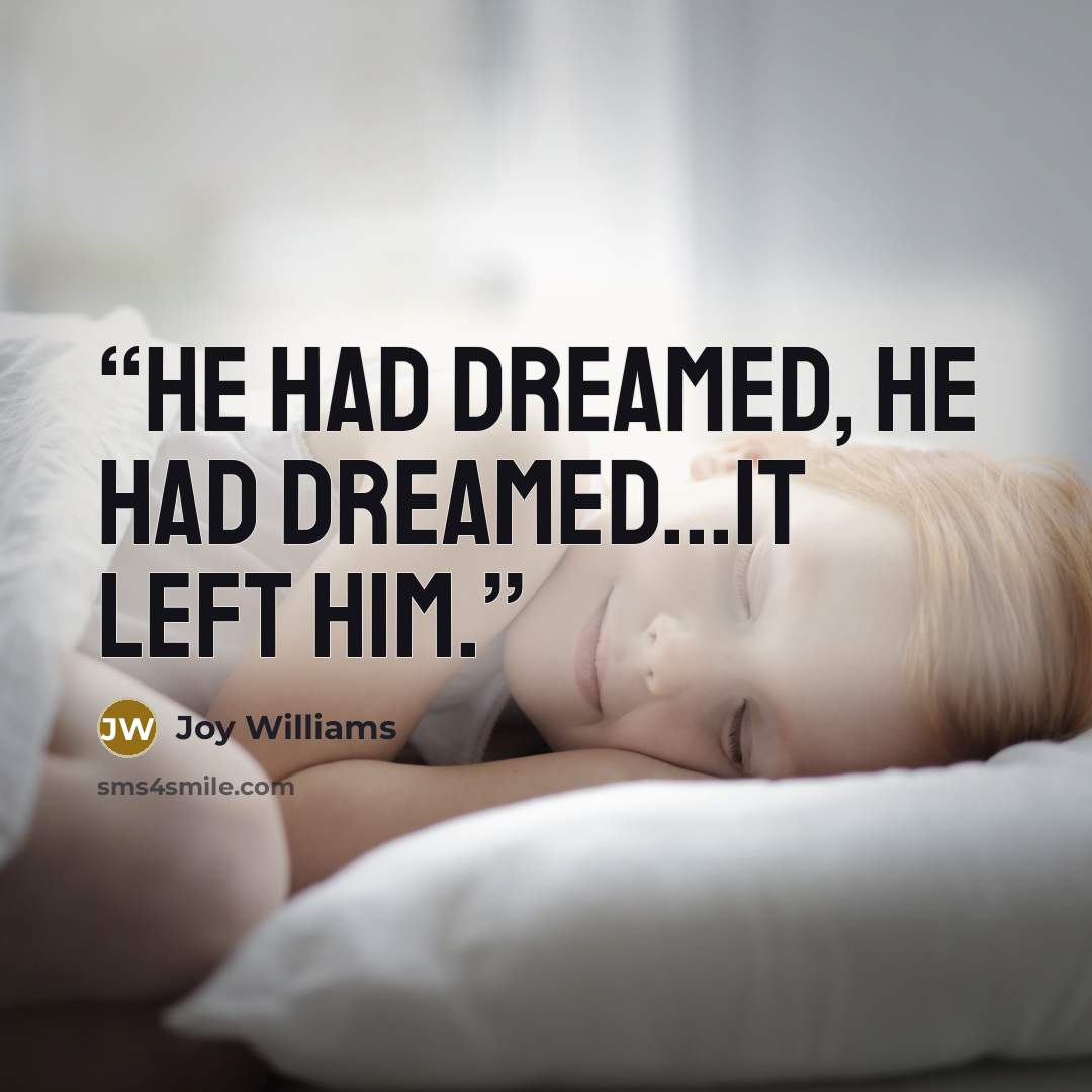 “He had dreamed, he had dreamed...it left him.” quote by Joy Williams
