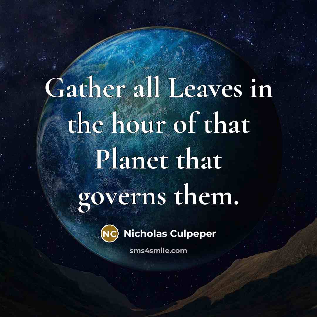 “Gather all Leaves in the hour of that Planet that governs them.” quote by Nicholas Culpeper